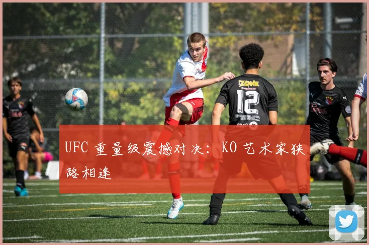 UFC 重量级震撼对决：KO 艺术家狭路相逢