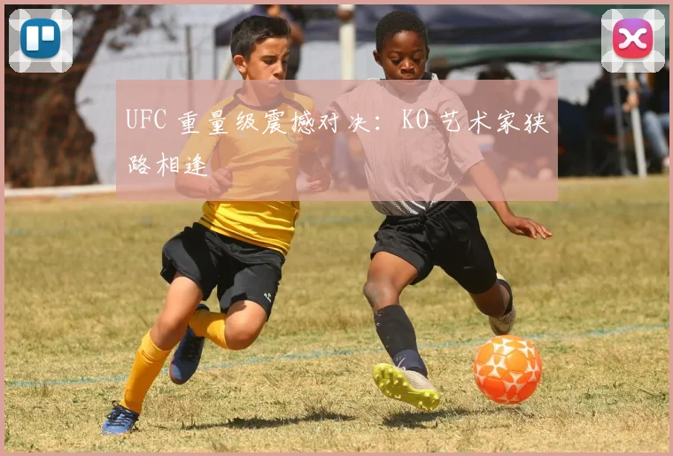 UFC 重量级震撼对决：KO 艺术家狭路相逢