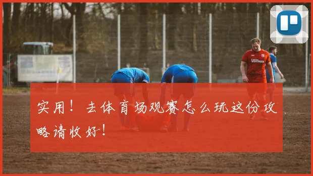 实用！去体育场观赛怎么玩这份攻略请收好！
