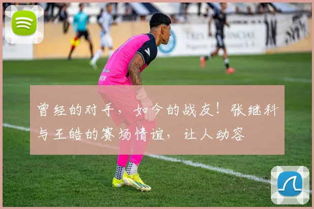 曾经的对手，如今的战友！张继科与王皓的赛场情谊，让人动容