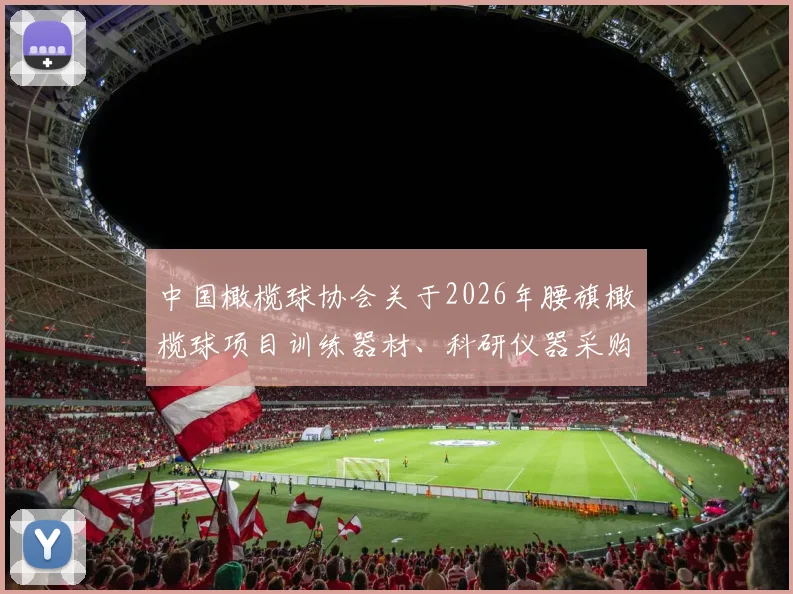 中国橄榄球协会关于2026年腰旗橄榄球项目训练器材、科研仪器采购的招标公告