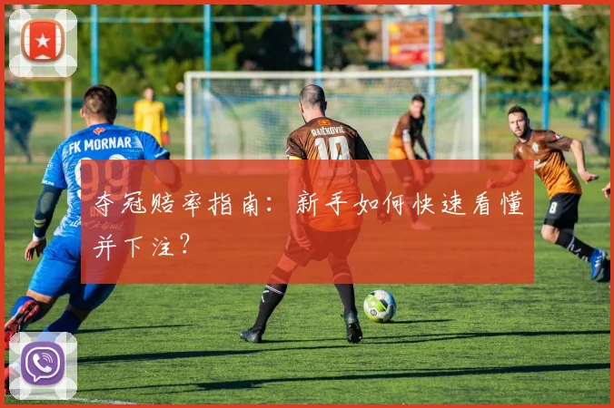 夺冠赔率指南：新手如何快速看懂并下注？