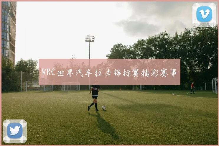 WRC世界汽车拉力锦标赛精彩赛事