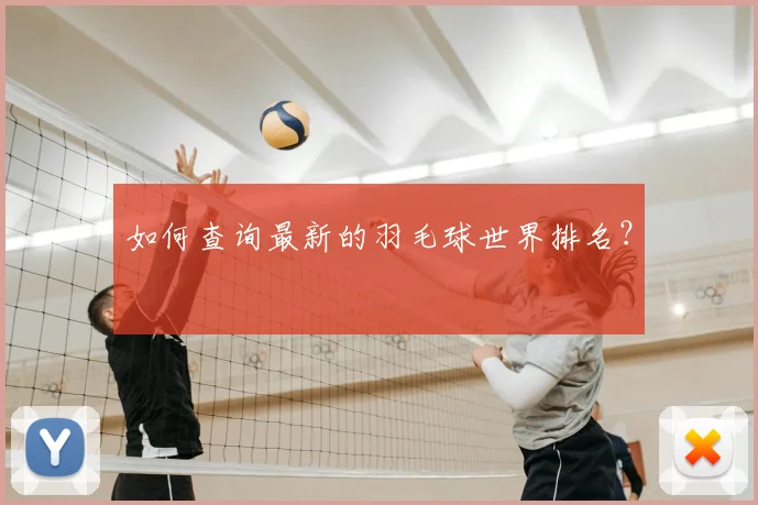 如何查询最新的羽毛球世界排名？