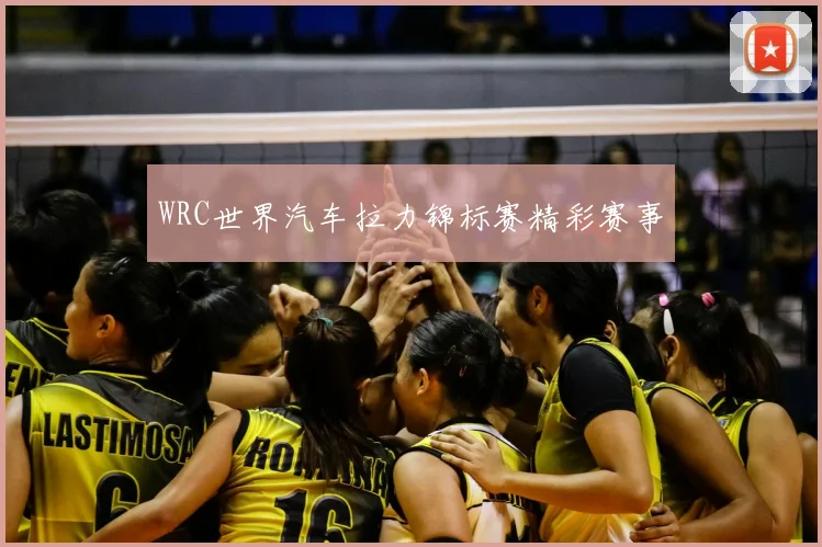 WRC世界汽车拉力锦标赛精彩赛事