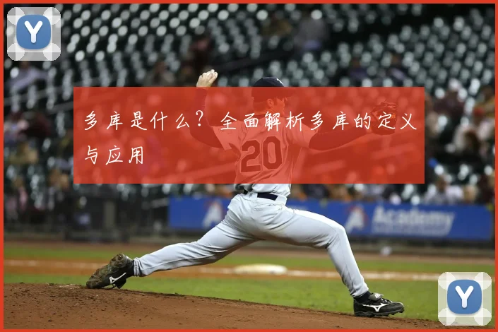 多库是什么？全面解析多库的定义与应用